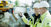 Gravearbejde COWI, OLSO (Uden Logos) Web